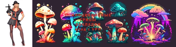 МДМА Беломорск