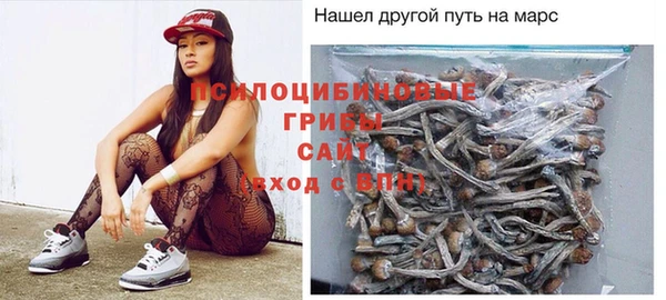 а пвп мука Белокуриха
