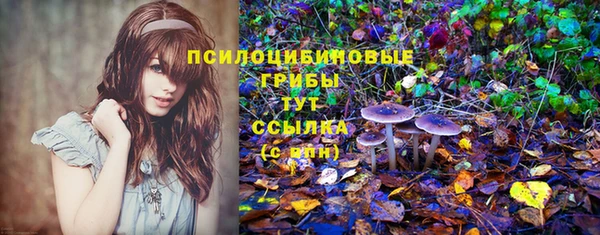 таблы Белоозёрский